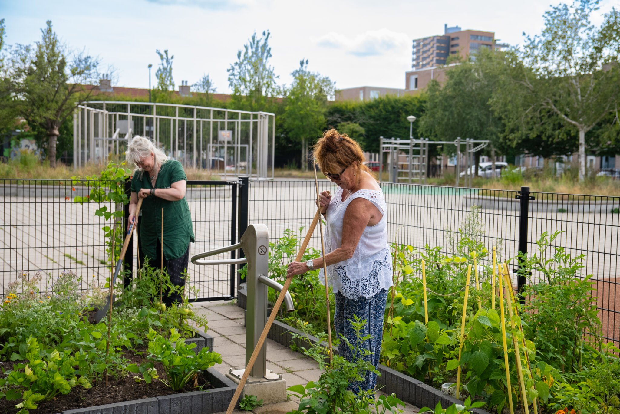 Foto voor Eigenzinnig, het magazine van bewonersorganisatie Eigenwijks (2024)